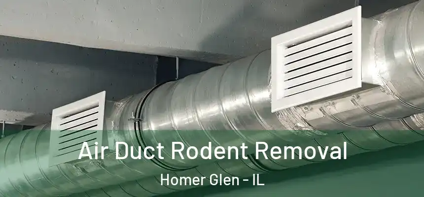 Air Duct Rodent Removal Homer Glen - IL