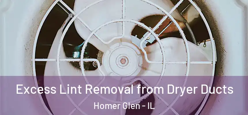 Excess Lint Removal from Dryer Ducts Homer Glen - IL