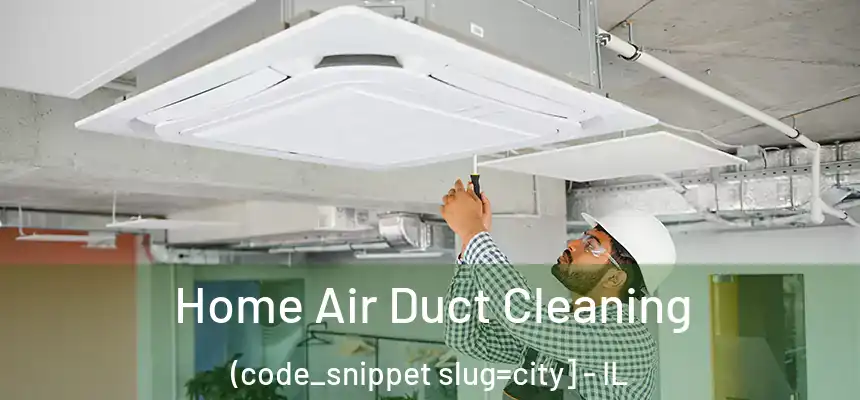  Home Air Duct Cleaning (code_snippet slug=city] - IL