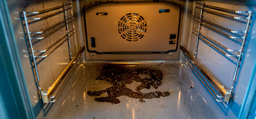 Our Dryer Vent Mold Cleaning Services in Homer Glen, IL