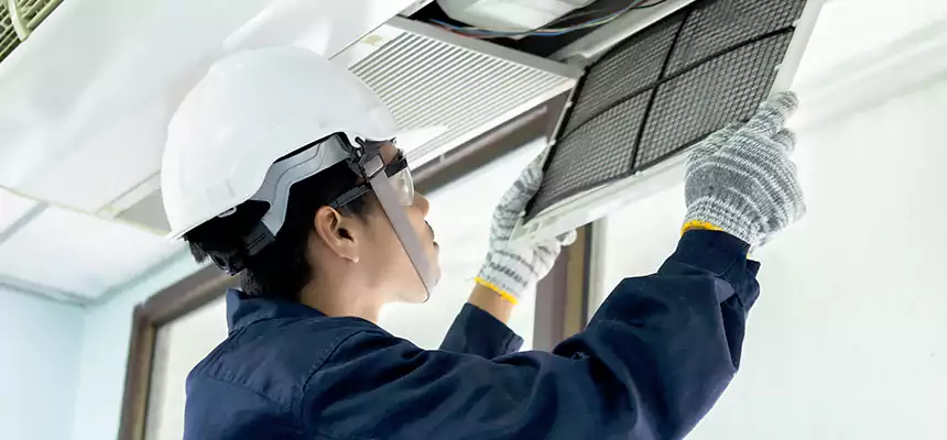 Our Mold & Mildew Removal from Air Ducts Services in Homer Glen, IL