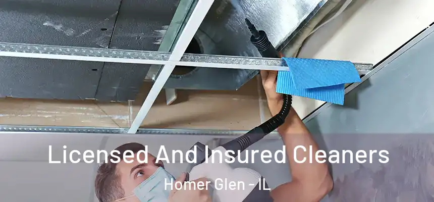 Licensed And Insured Cleaners Homer Glen - IL