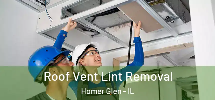  Roof Vent Lint Removal Homer Glen - IL