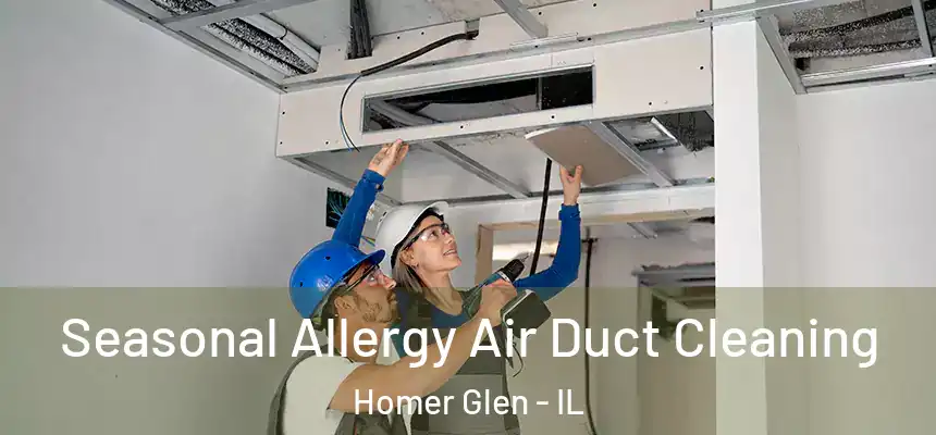  Seasonal Allergy Air Duct Cleaning Homer Glen - IL