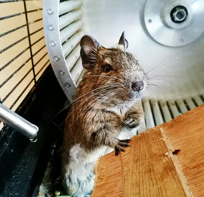 Why Homeowners & Businesses Trust Us Homer Glen, IL?